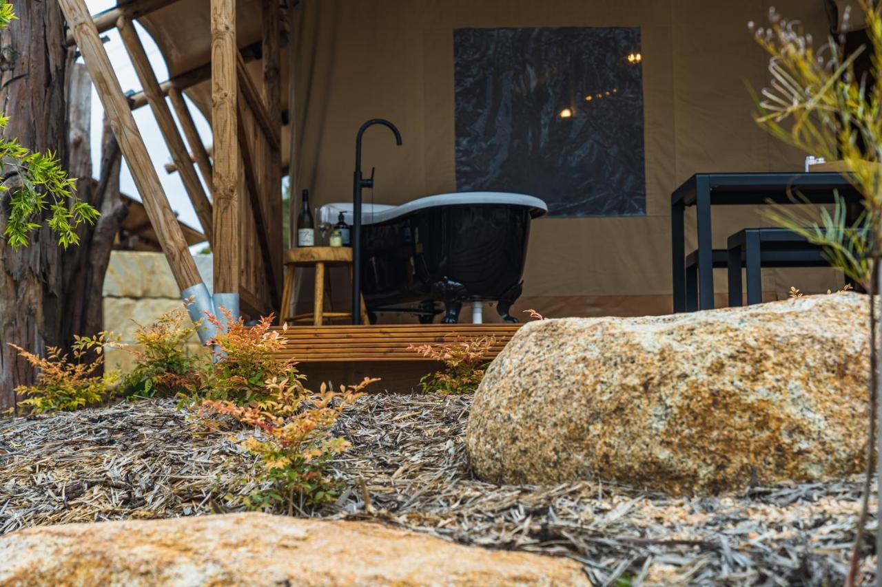Glamping 148 Tasmania Hotel St Helens Exterior foto